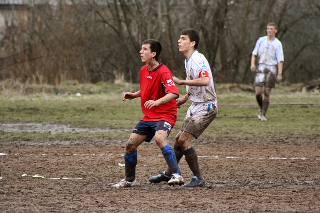 双方中场的 双方中场的