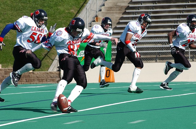 毒已成为各 毒已成为各