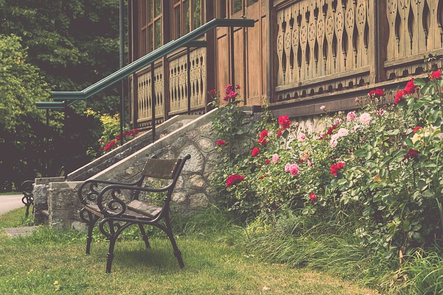 败的分水岭 败的分水岭