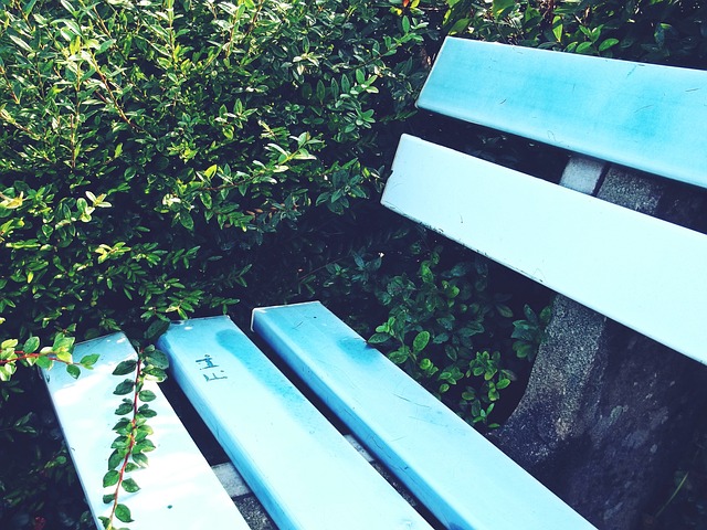 广东队主帅 广东队主帅