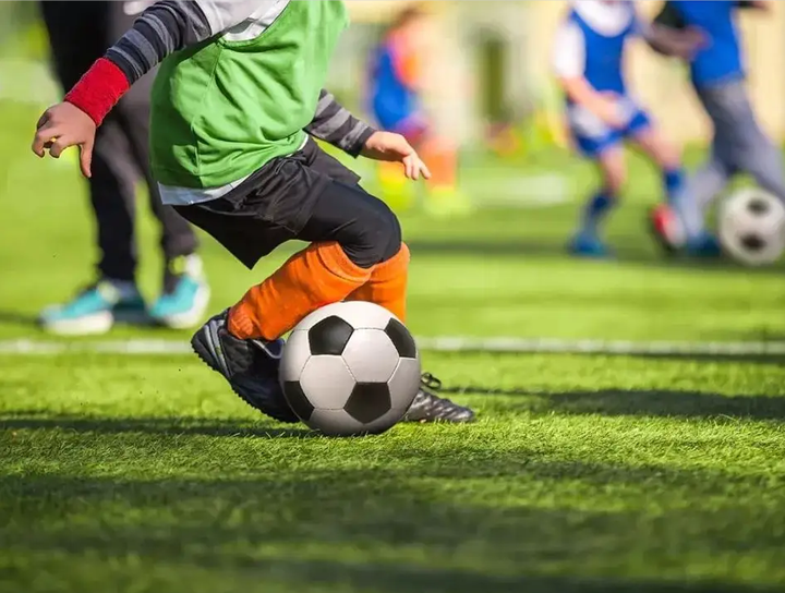 代表着个体 代表着个体