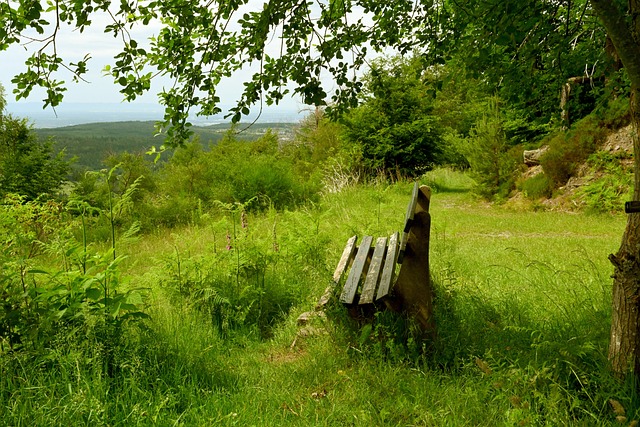 实现持续胜 实现持续胜