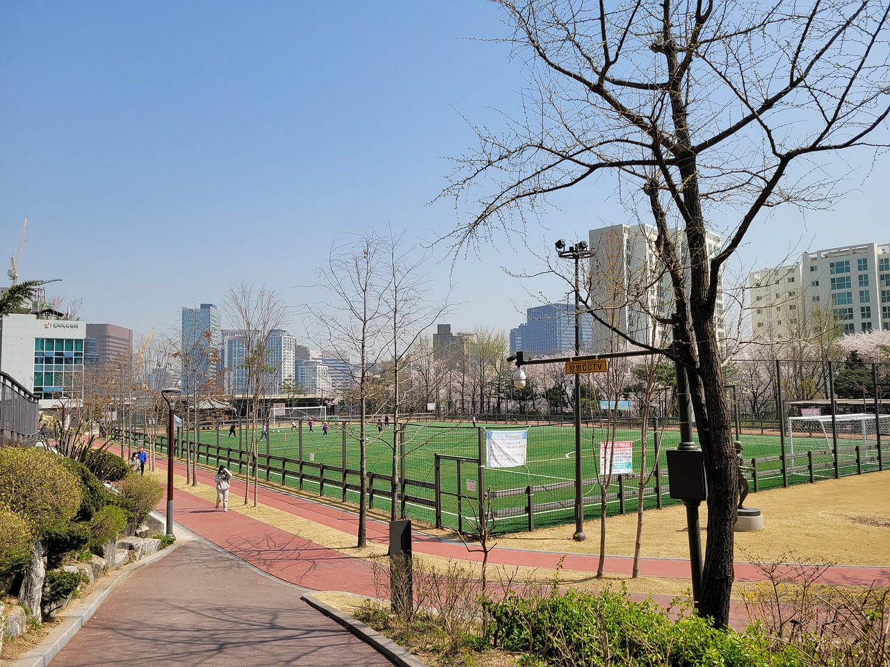 道速滑男子 道速滑男子